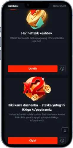 Pin Up Casino haftalik keshbek va x2 aksiyasi